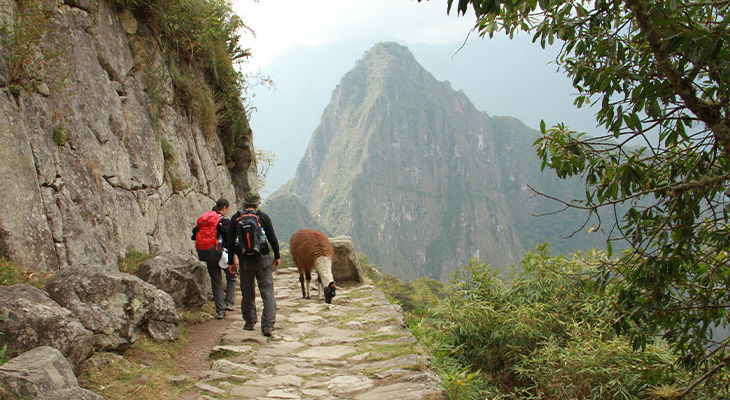 Inca Trail Peru