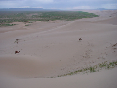 Route Mongolië, 23 dagen - Dag 16