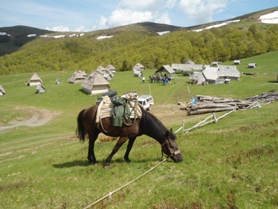 Route Balkan - Day 8