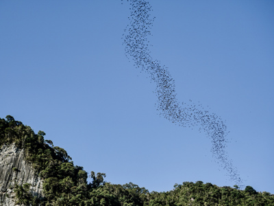 Route Maleisisch Borneo, 24 dagen - Dag 10