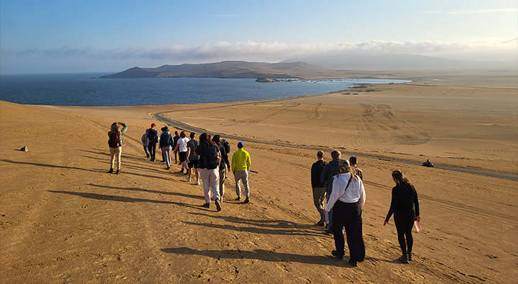 Paracas Paracas