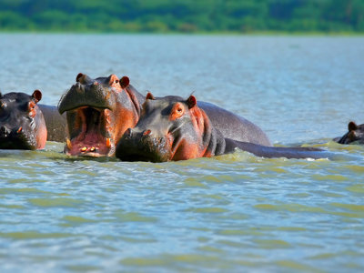 Route tot mei 2025: Kenia en Tanzania, 12-dagen - Dag 2