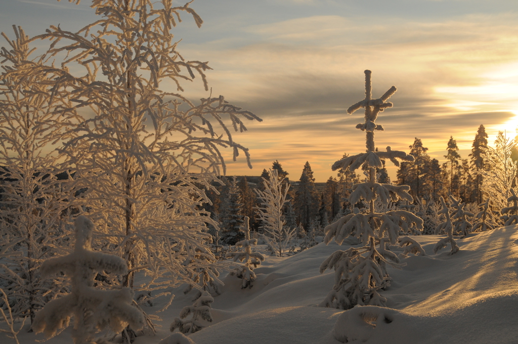 Paljakka zonsondergang.jpg