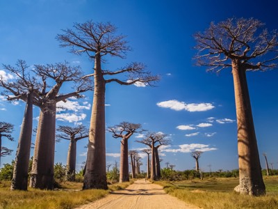 Route Madagascar 2020, 22 dagen - Dag 9