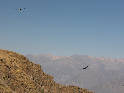 Route Peru, 22 dagen - Day 9