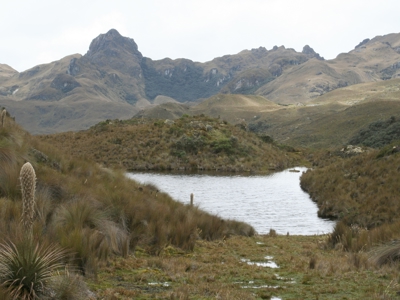 Route Ecuador en Galapagos, 22 dagen - Day 15