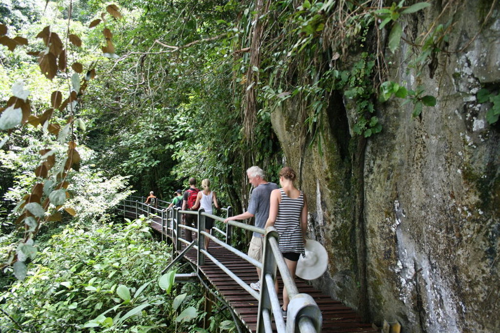 main_Maleisisch_Borneo_Frans_Staal__211_.jfif