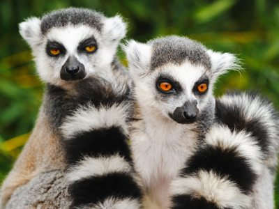 Route Madagascar, 19 dagen - Dag 5