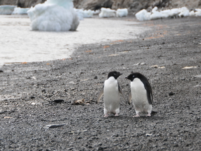 Antarctica Route - Dag 7