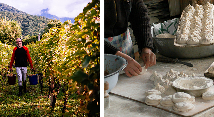 wijngaard in georgie wijngaard in georgie