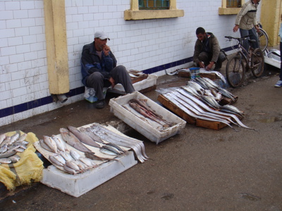 Route Marokko, 22 dagen, vanaf 2021 - Dag 20