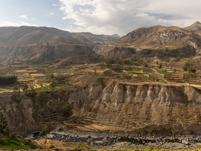 Terrasvormige akkers in de Colca Canyon met bergen op de achtergrond, Peru.