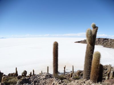 Route Bolivia en Chili, 21 dagen - Day 13