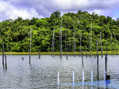 Route Suriname, 18 dagen (2019) - Dag 8