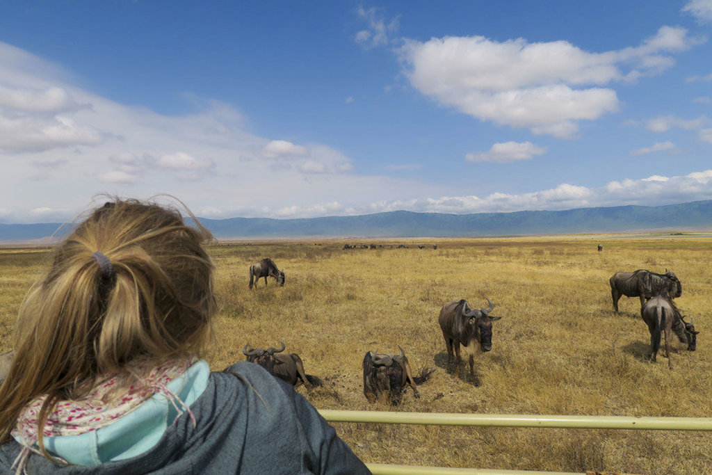 main_IMG_0838_krater.jfif