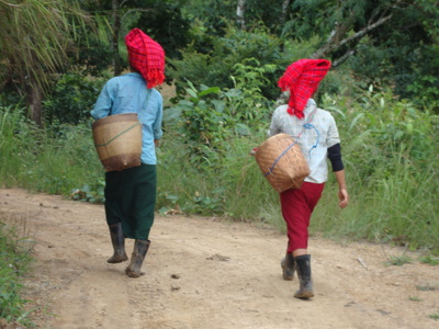 Route Myanmar 2019, 16 dagen - Day 10