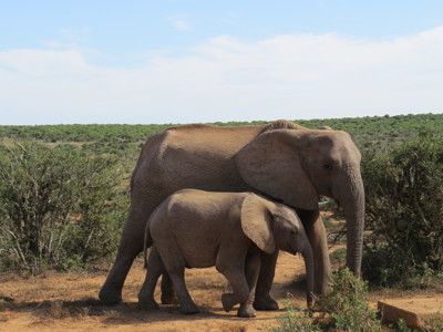 Tuinroute, 18 dagen - Dag 9