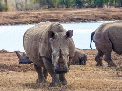 Route Johannesburg - Kaapstad, 24 dagen - Dag 4