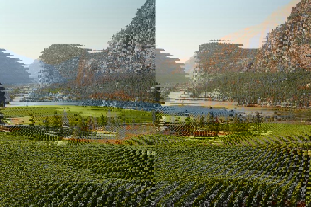 main_Canada_-_Okanagan_Valley.jpg