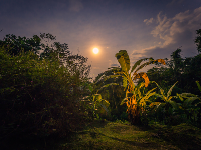 Route Peru inclusief Amazone, 24 dagen - Day 19