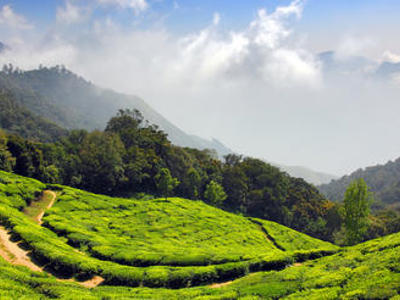 Route Zuid India, 18 dagen - Day 9