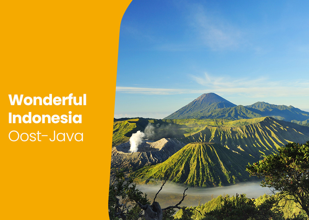 YouTube-thumbnail-umbraco-wonderfulind.jpg (1)