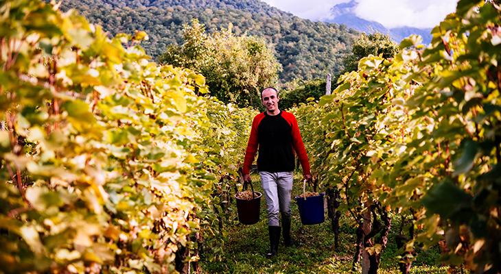 Kakheti wijnregio in Georgië Kakheti wijnregio in Georgië