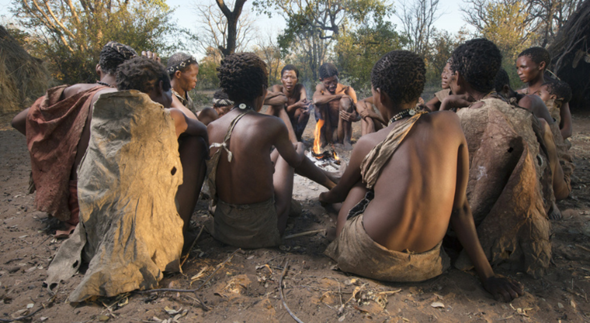 Grashoek in Namibië