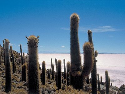 Route Argentinië, Bolivia en Peru, 28 dagen - Dag 9