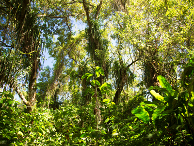 Route Suriname, 18 dagen - Dag 13