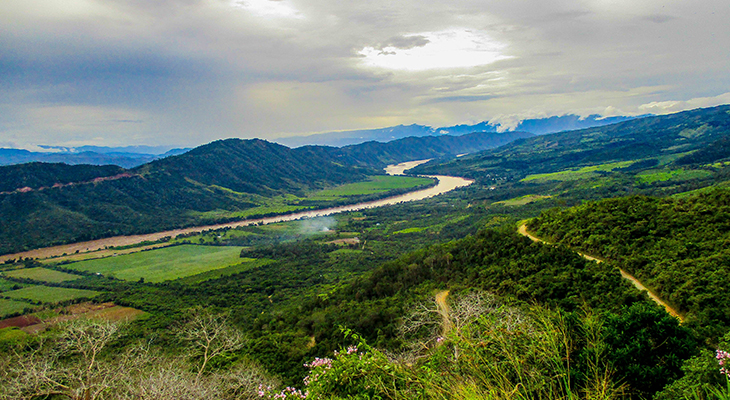 Amazone in Peru Amazone in Peru
