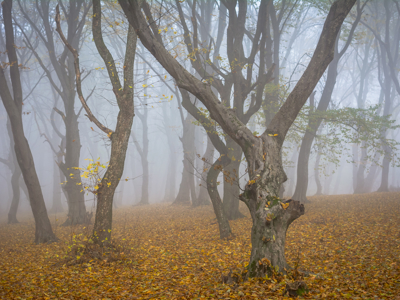 Route Roemenië, 11 dagen - Dag 2