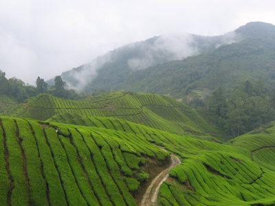 Route Singapore, Maleisië & Thailand - Dag 9