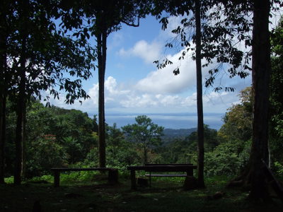 Route Suriname, 26 dagen (2019) - Dag 15