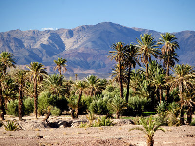 Route Marokko, 14 dagen - Dag 8