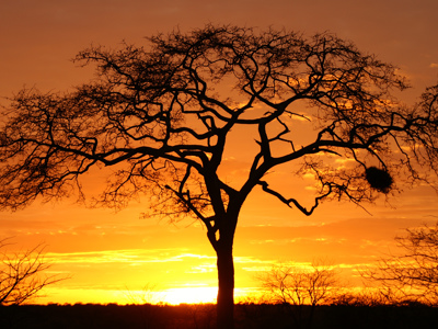 Kenia, Tanzania en Zanzibar, 23 dagen - Day 12