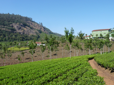 Route Zuid India, 25 dagen - Day 14