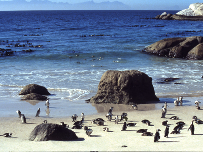 Route Johannesburg - Kaapstad, 17 dagen - Dag 16