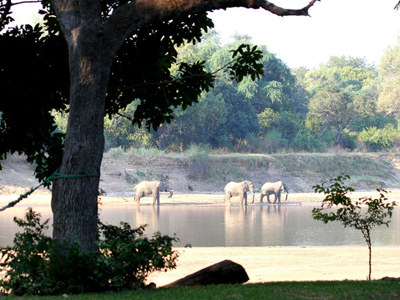 Croc valley
