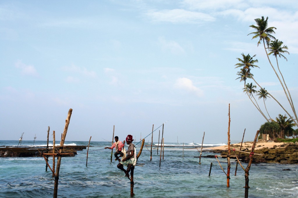 familiereis Sri lanka vis paal