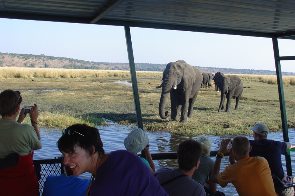 familiereis Zuidelijk Afrika Chobe