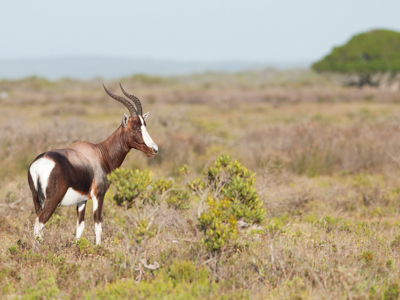 Tuinroute, 18 dagen - Dag 3