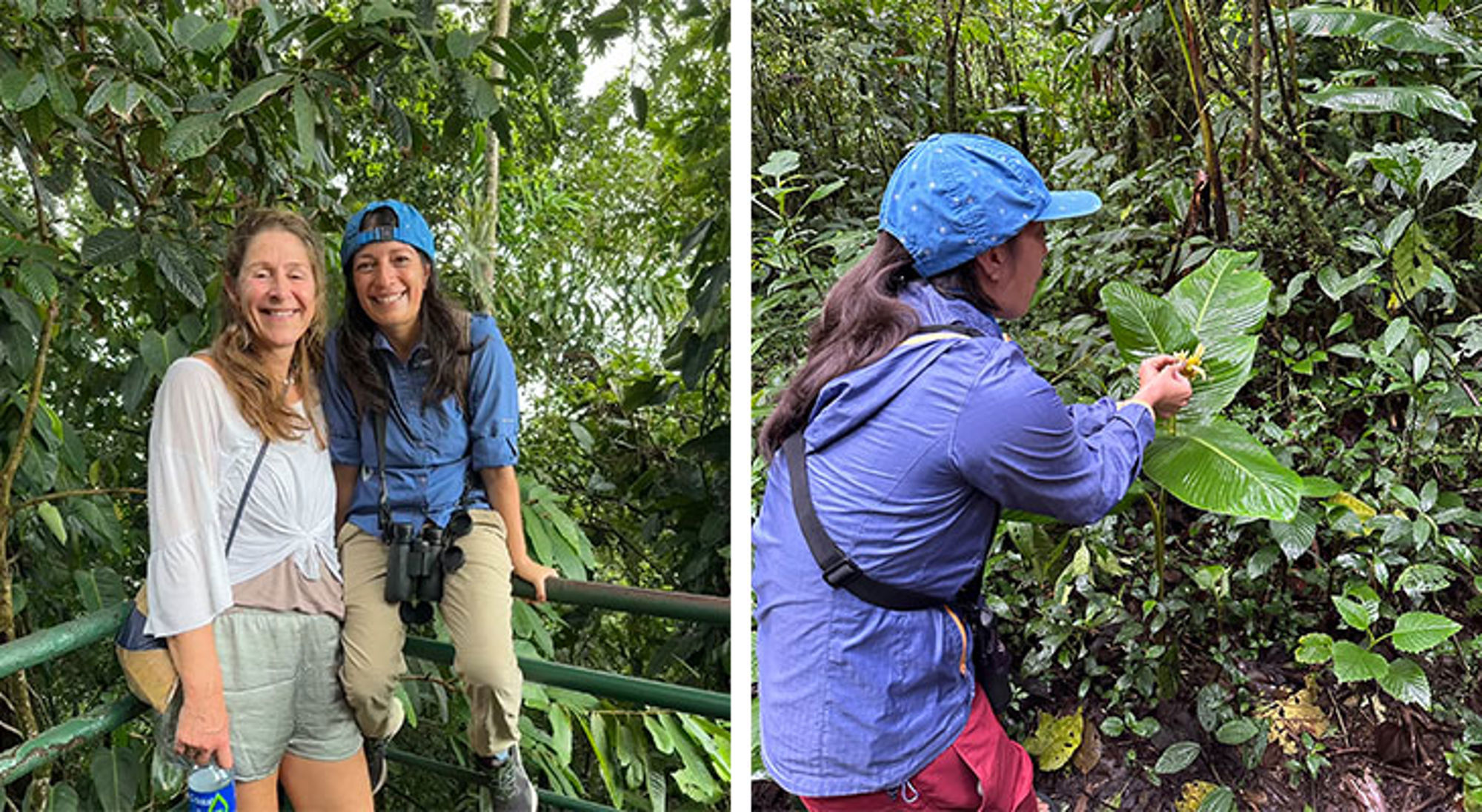 Lokale reisbegeleider Costa Rica Lokale reisbegeleider Costa Rica