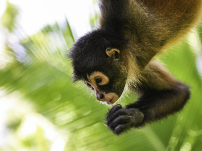 Route Costa Rica - Day 20