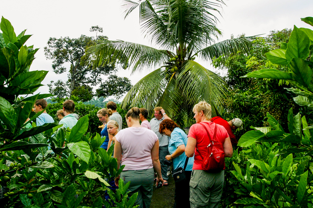 MSF - wandeling-2.jpg