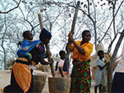 Route Zimbabwe, 22 dagen oud - Dag 16