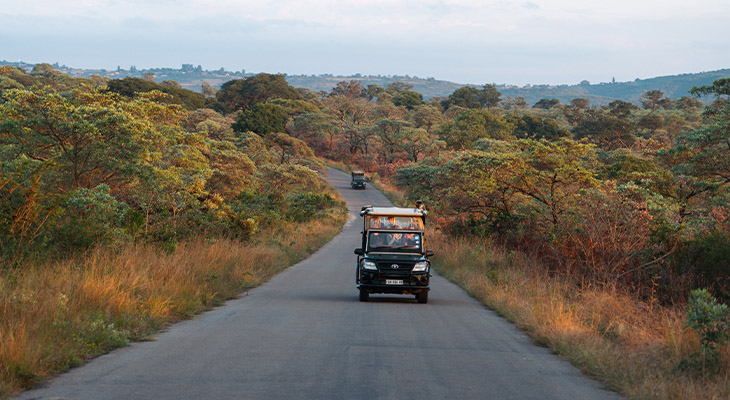 Safari in Zuid-Afrika