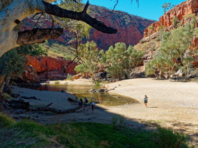 Route 2, Australië & Nieuw-Zeeland, 30 dagen - Day 8