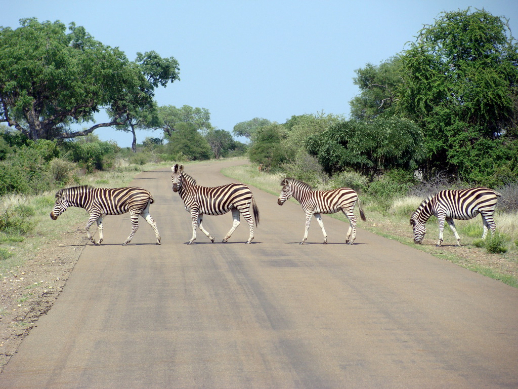 Krugerpark