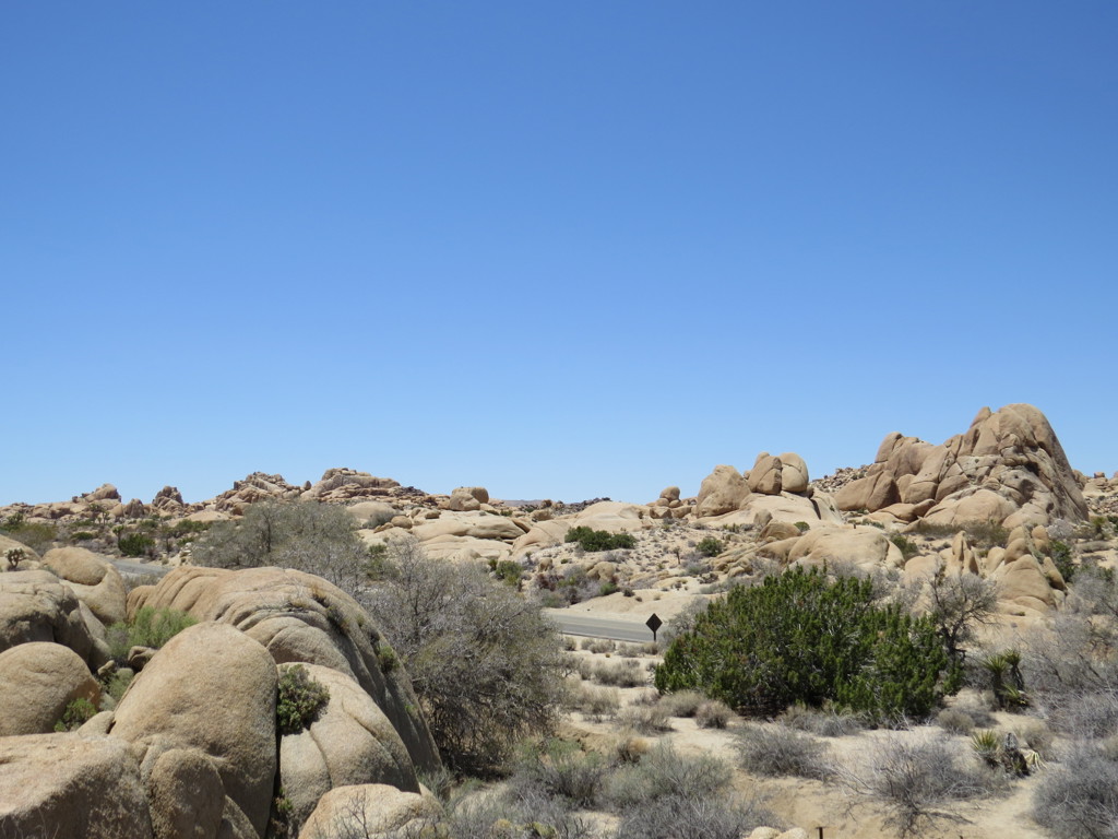 Joshua Tree National Park